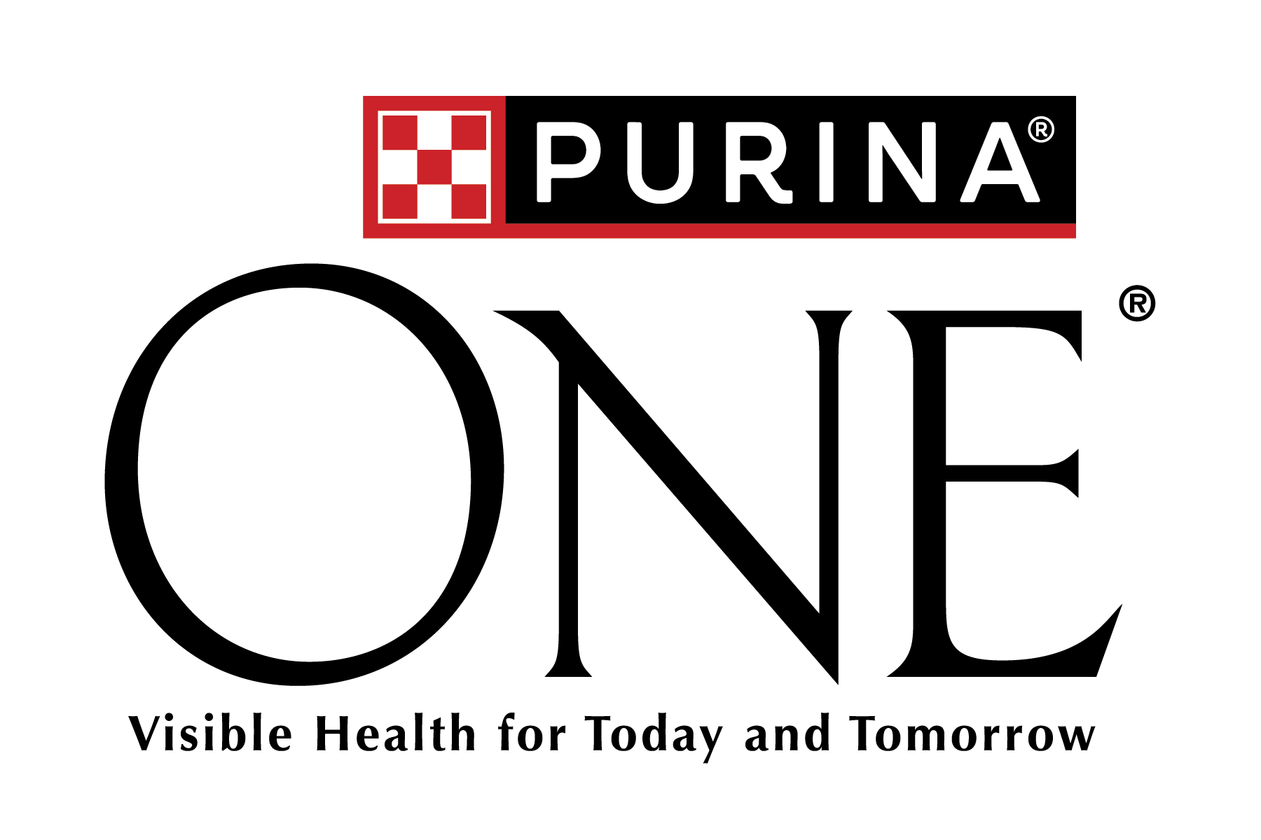 Krmivo pro psy PURINA ONE® Mini Nejlepší granule pro psy